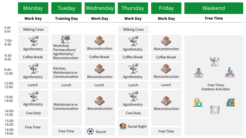 EN. Long Term Week Plan EN. Long Term Week Plan