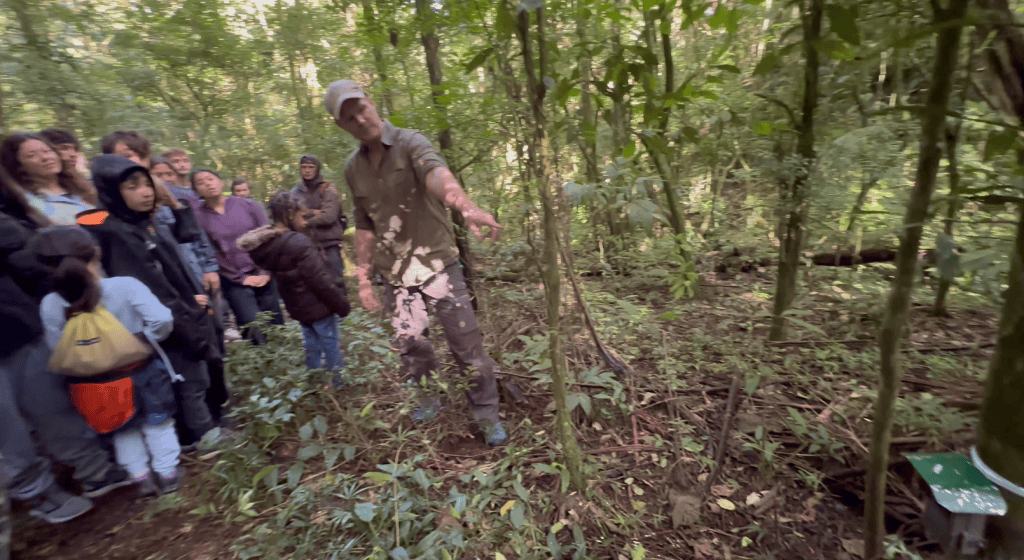 camera trap
