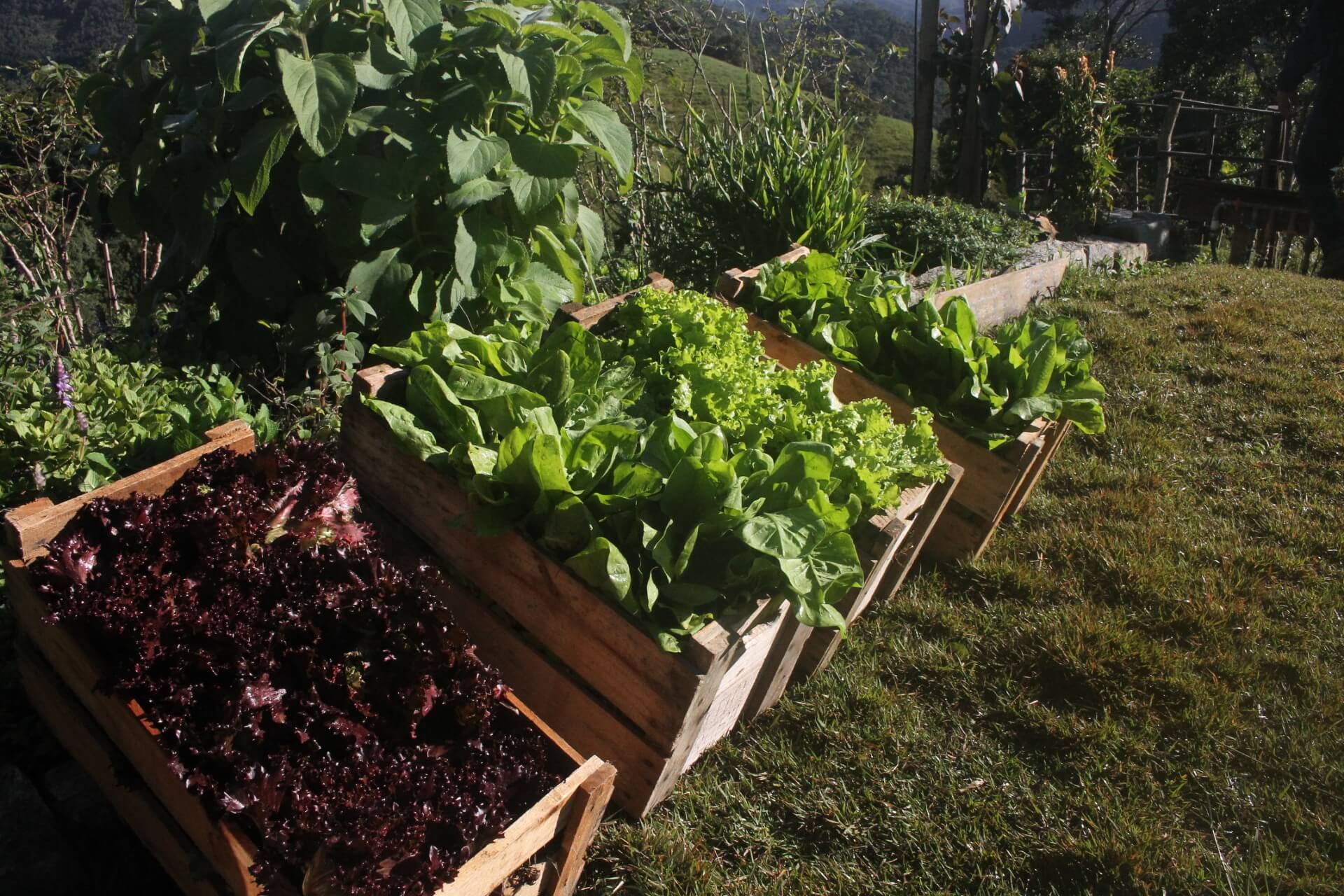 Eco Caminhos trae el estilo de vida como una solución en tiempos de crisis y adversidad global