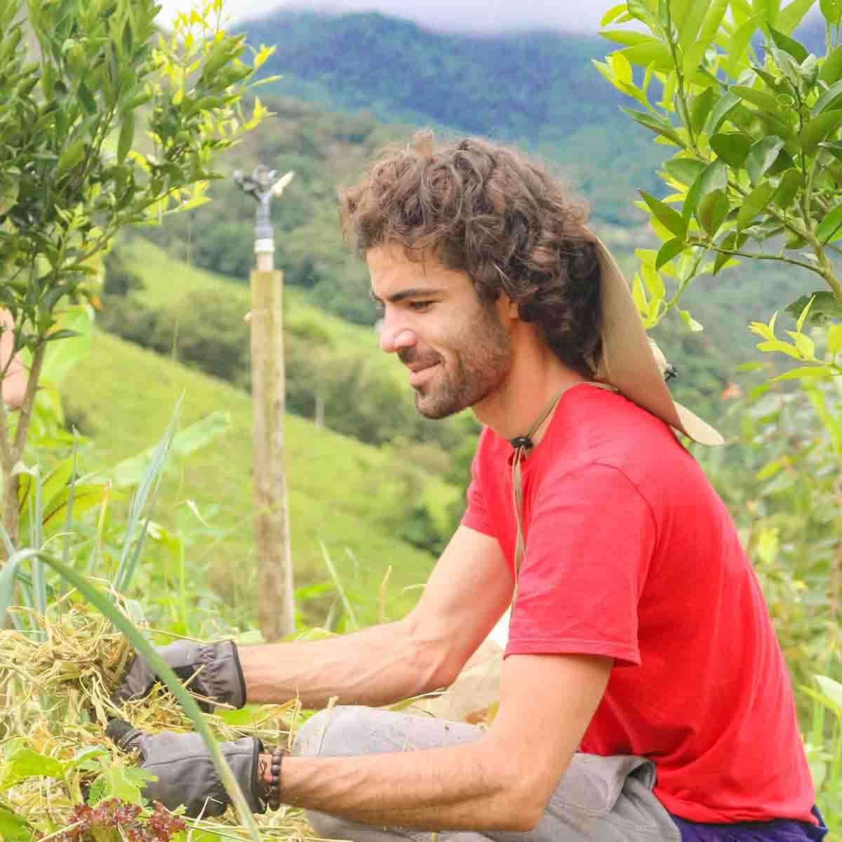 Voluntariado de curto prazo
