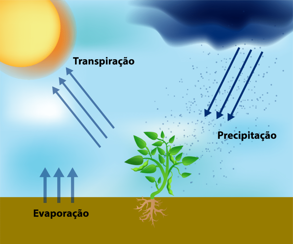 precipitação, evaporação e transpiração