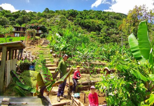 60+ Experiencia Ecológica en la Granja (1 dia)