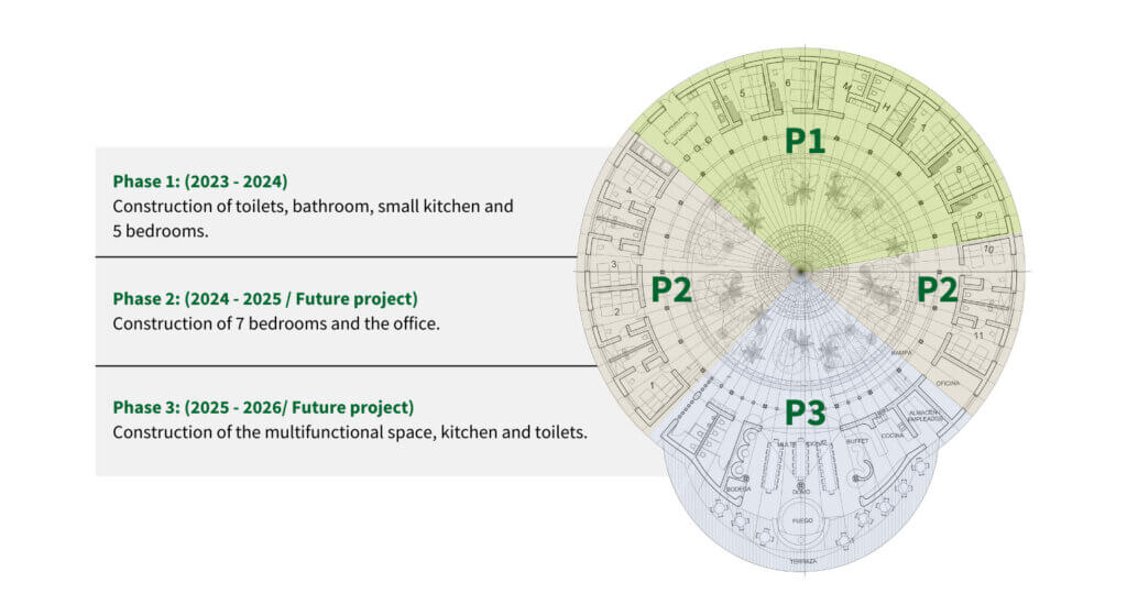 Ecolibrium phases illustration