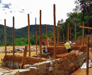 people working with cob