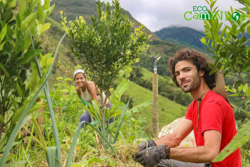 sustainability_education_farm