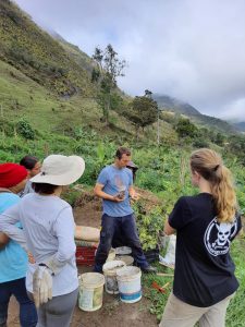 Regenerative Organizations Eco Caminhos